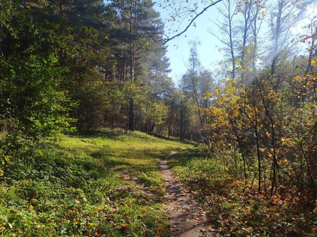 Verkiai Regional Park